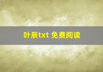 叶辰txt 免费阅读